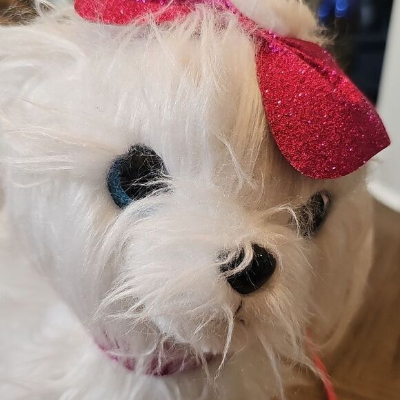 Guru pets walking, barking Maltese dog - Picture 3 of 8